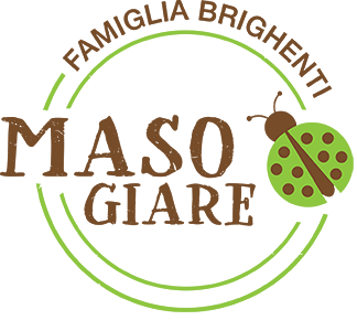 MASO GIARE